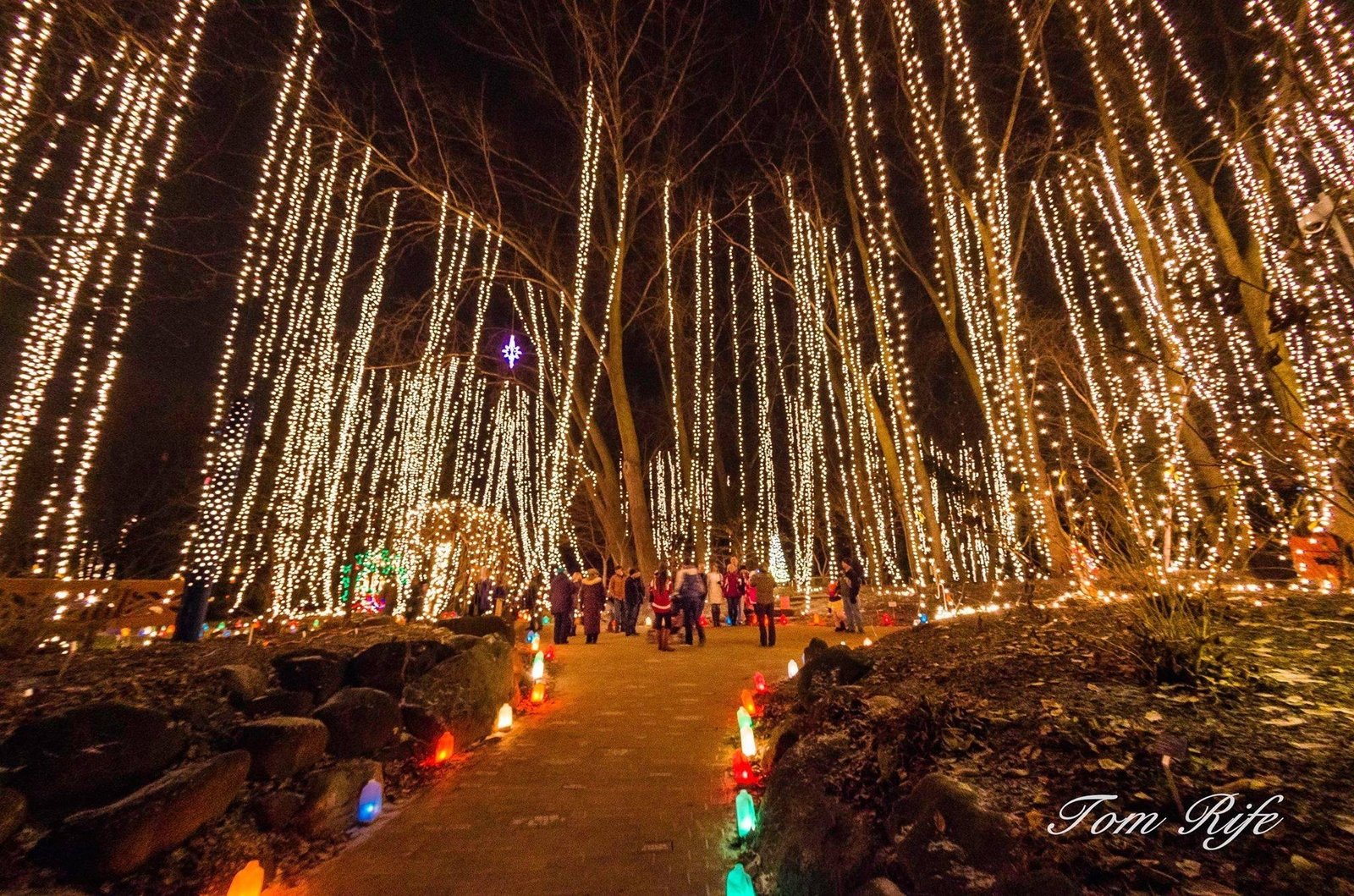 Holiday Light Show - Rotary Botanical Gardens - 1455 Palmer Drive pertaining to Rotary Garden Light Show Janesville Wi