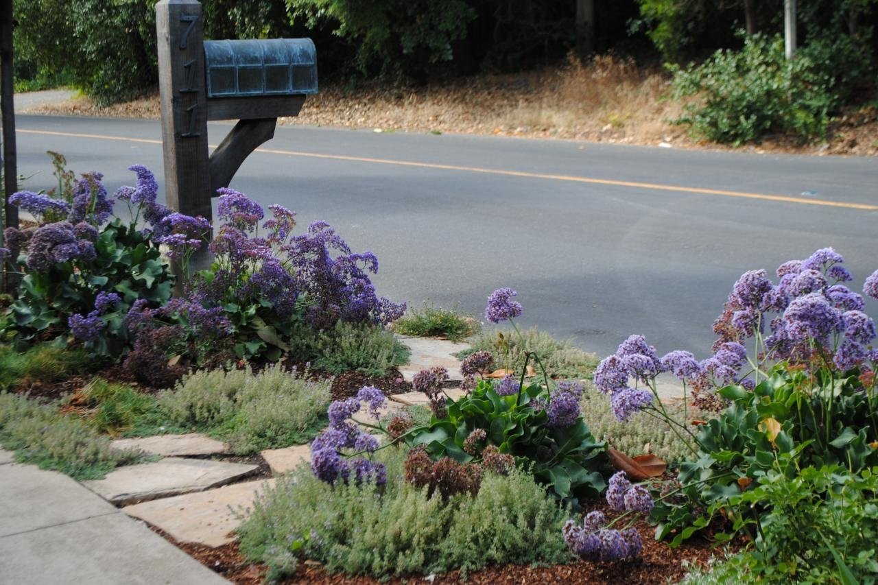 Landscaping For Sidewalks | Hgtv with Front Sidewalk Landscaping Ideas
