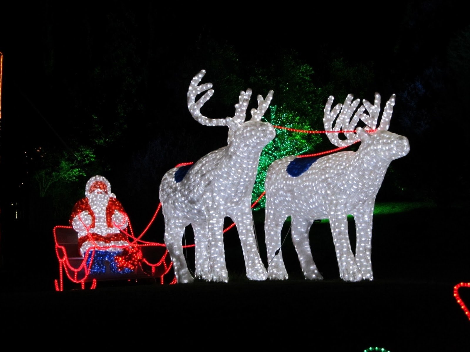 Plebs With Kids: Garden Of Lights @ Emperors Palace Review inside Garden Of Light At Emperors Palace