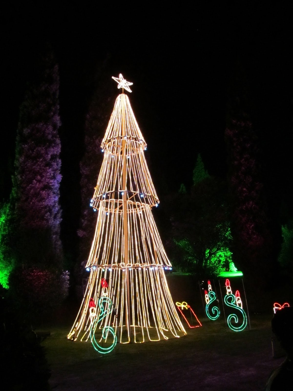 Plebs With Kids: Garden Of Lights @ Emperors Palace Review regarding Garden Of Light At Emperors Palace