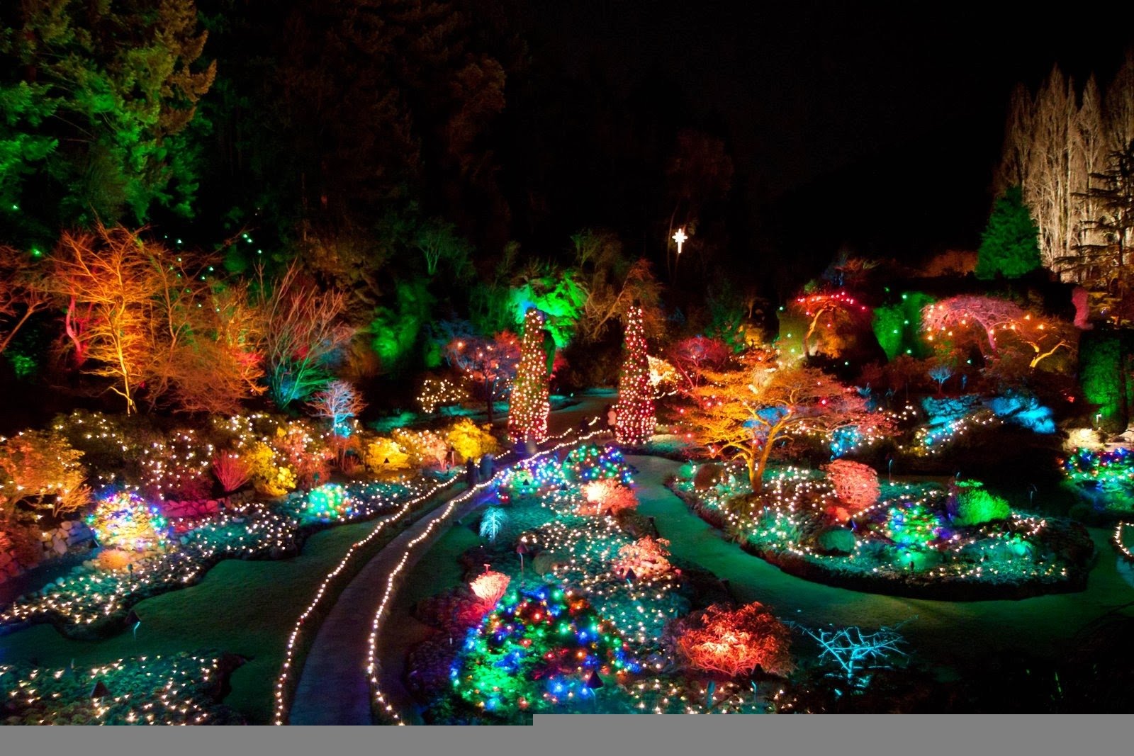The Garden Of Lights At Emperors Palace – Hello Jhb regarding Garden Of Light At Emperors Palace