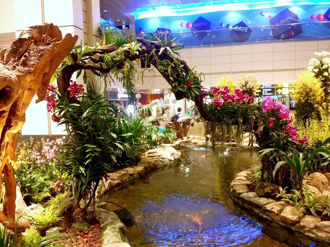 what to do in changi airport for free? things to do while waiting