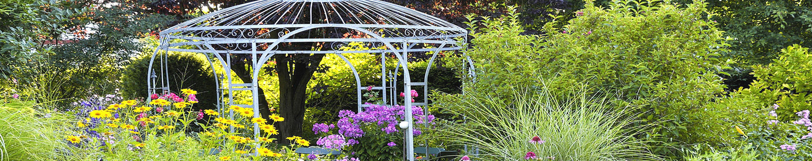 garden apps for the android – sandown garden club