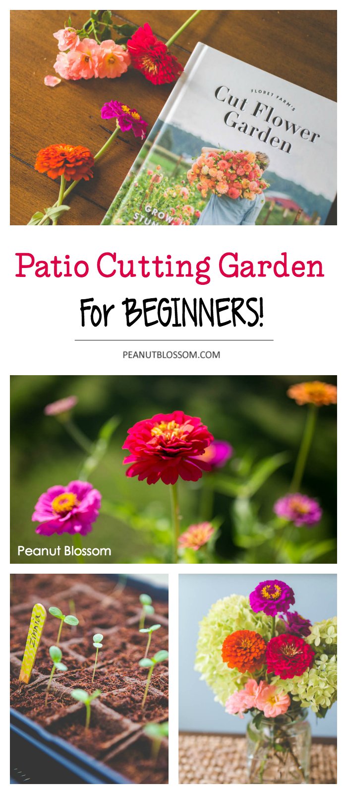 how to set up a cut flower garden for beginners