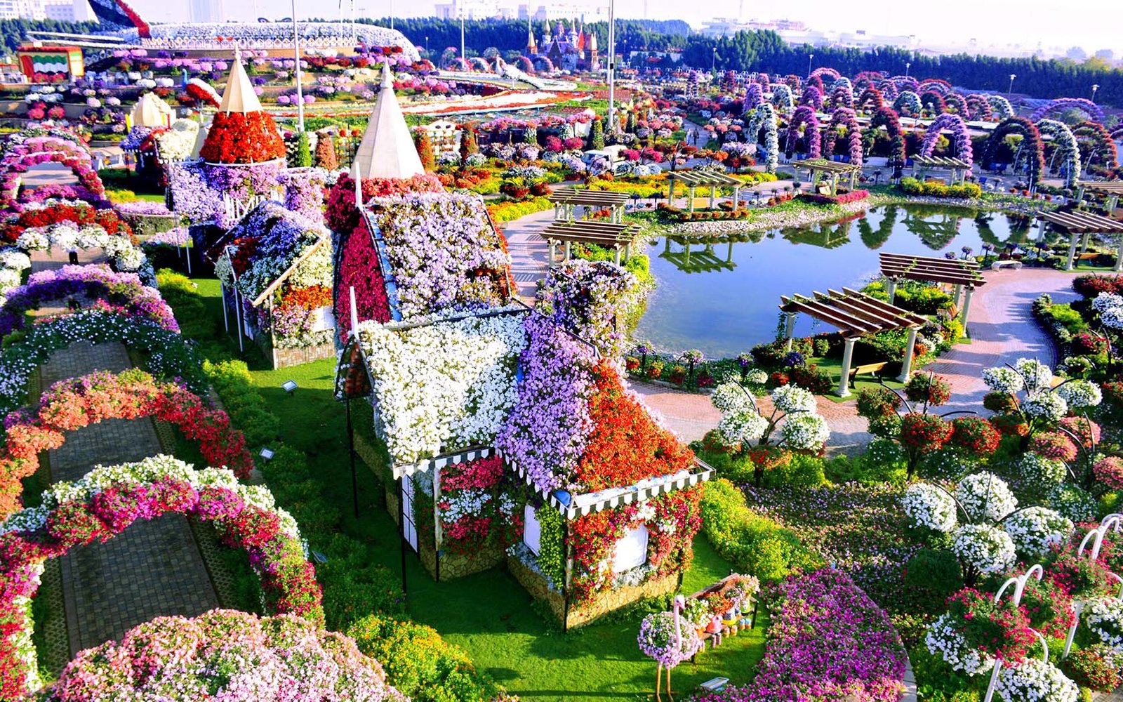 the world's biggest flower display is in the middle of the dubai desert