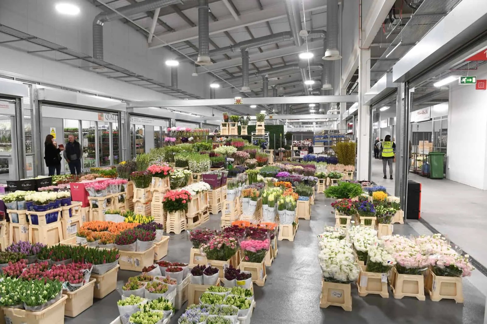 keeping drainage fresh and healthy at new covent garden market