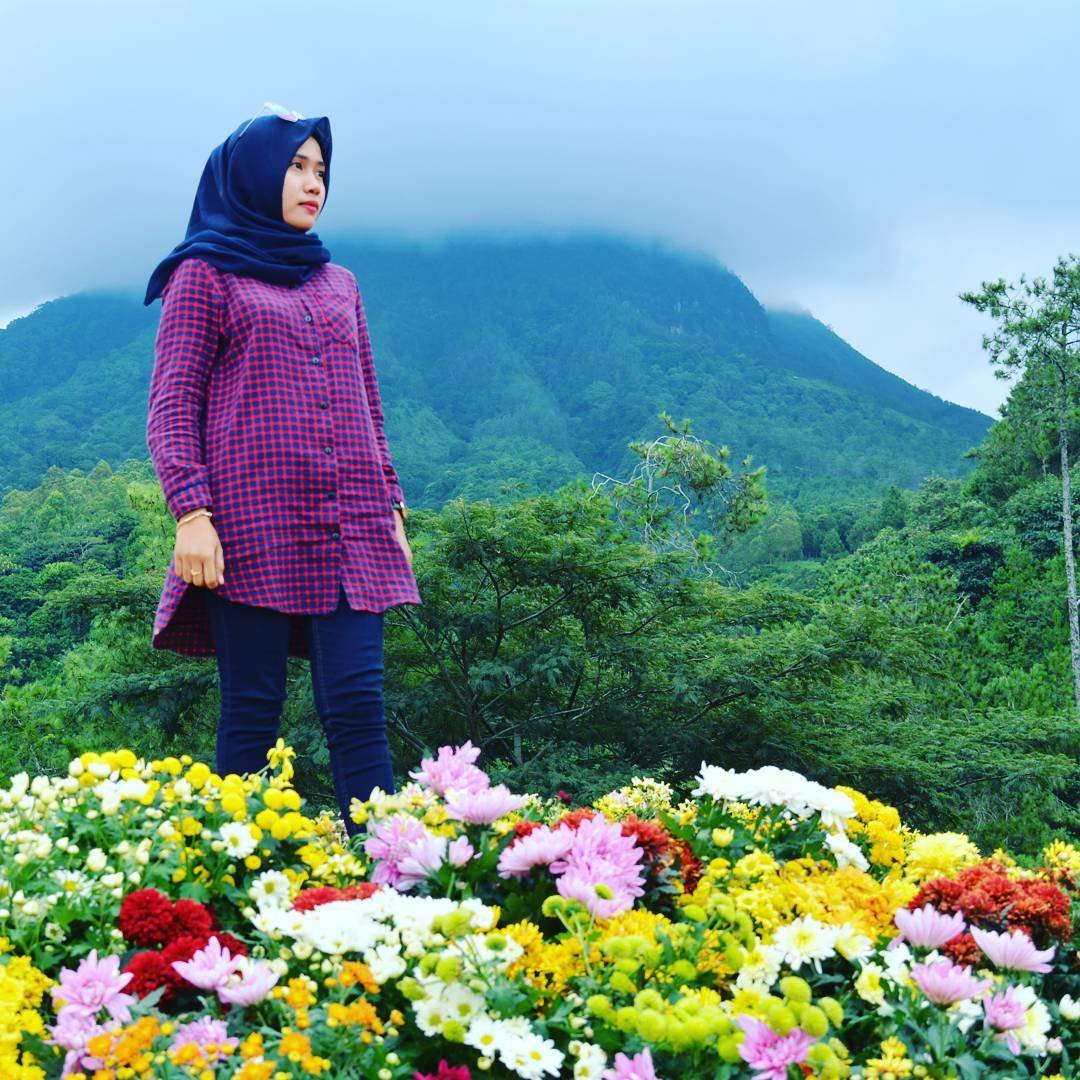 coban rais, gambar spot foto menarik, harga tiket