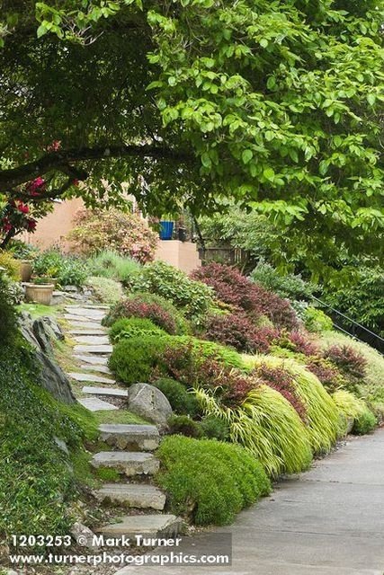 Best 25+ Sloped Front Yard Ideas On Pinterest | Garden Stairs regarding Landscaping Ideas Front Yard Steep Slope