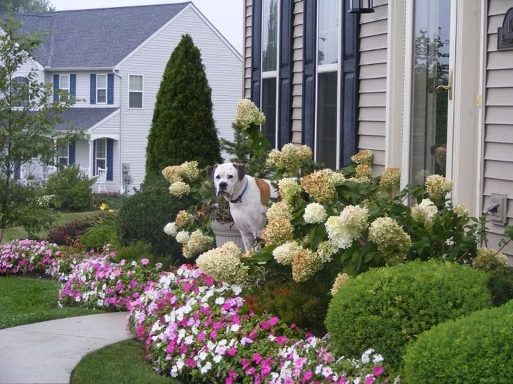 20 simple but effective front yard landscaping ideas