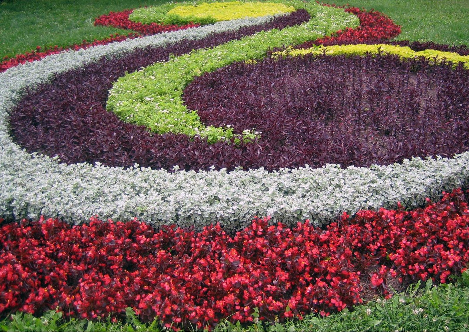 garden plants: flower garden ideas innovative decoration flowers