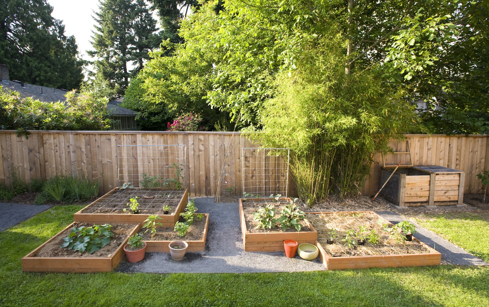 small square foot backyard vegetable garden ideas with wood raised