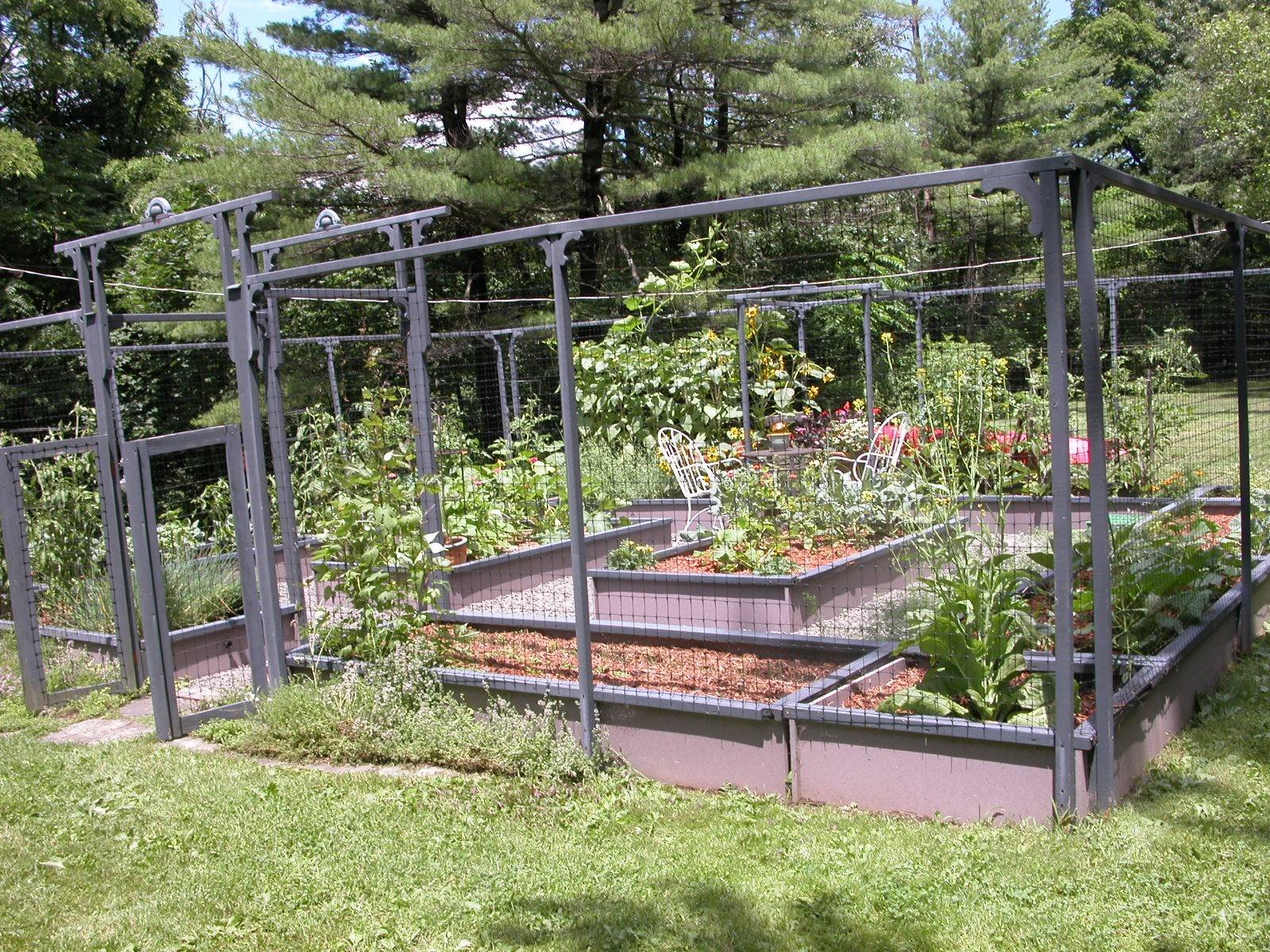 vegetable garden designs layout ideas vertical angled trellis offers