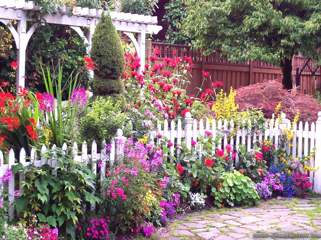 10 wonderfully scented flowers for your garden -