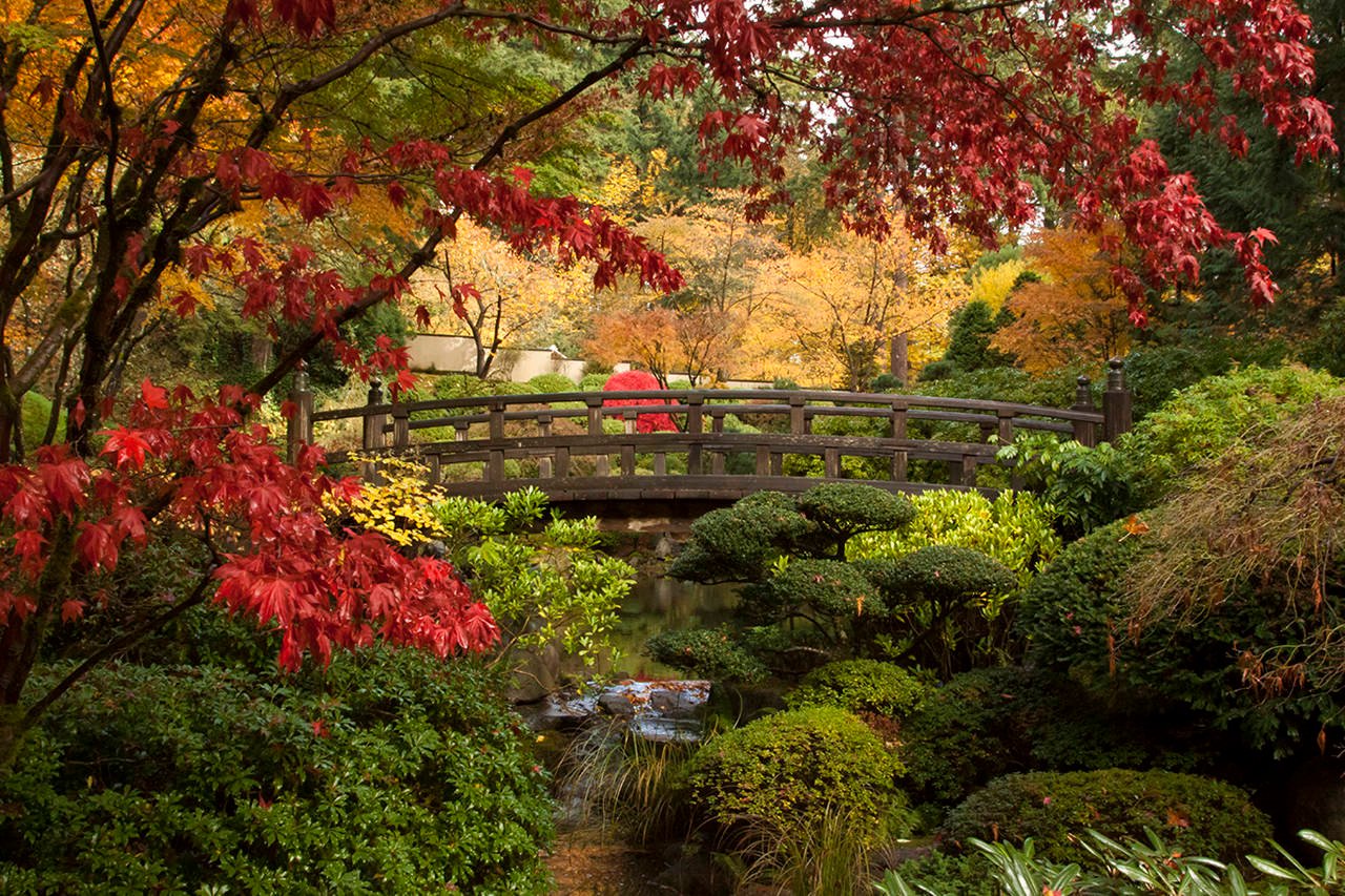 gem of the pacific northwest: the portland japanese garden | the