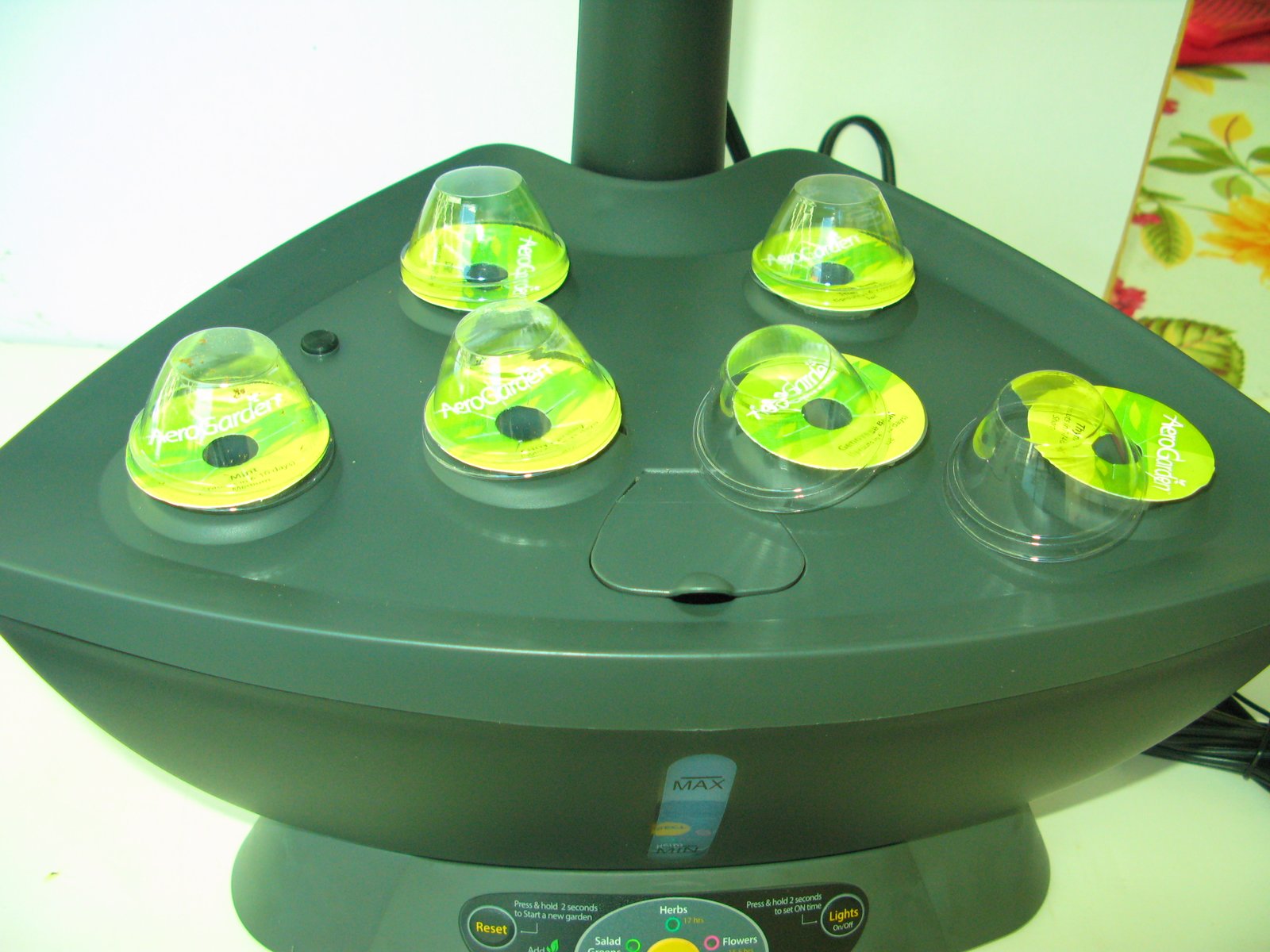 Aerogarden Seed Pods - DIY Organic Gardening
