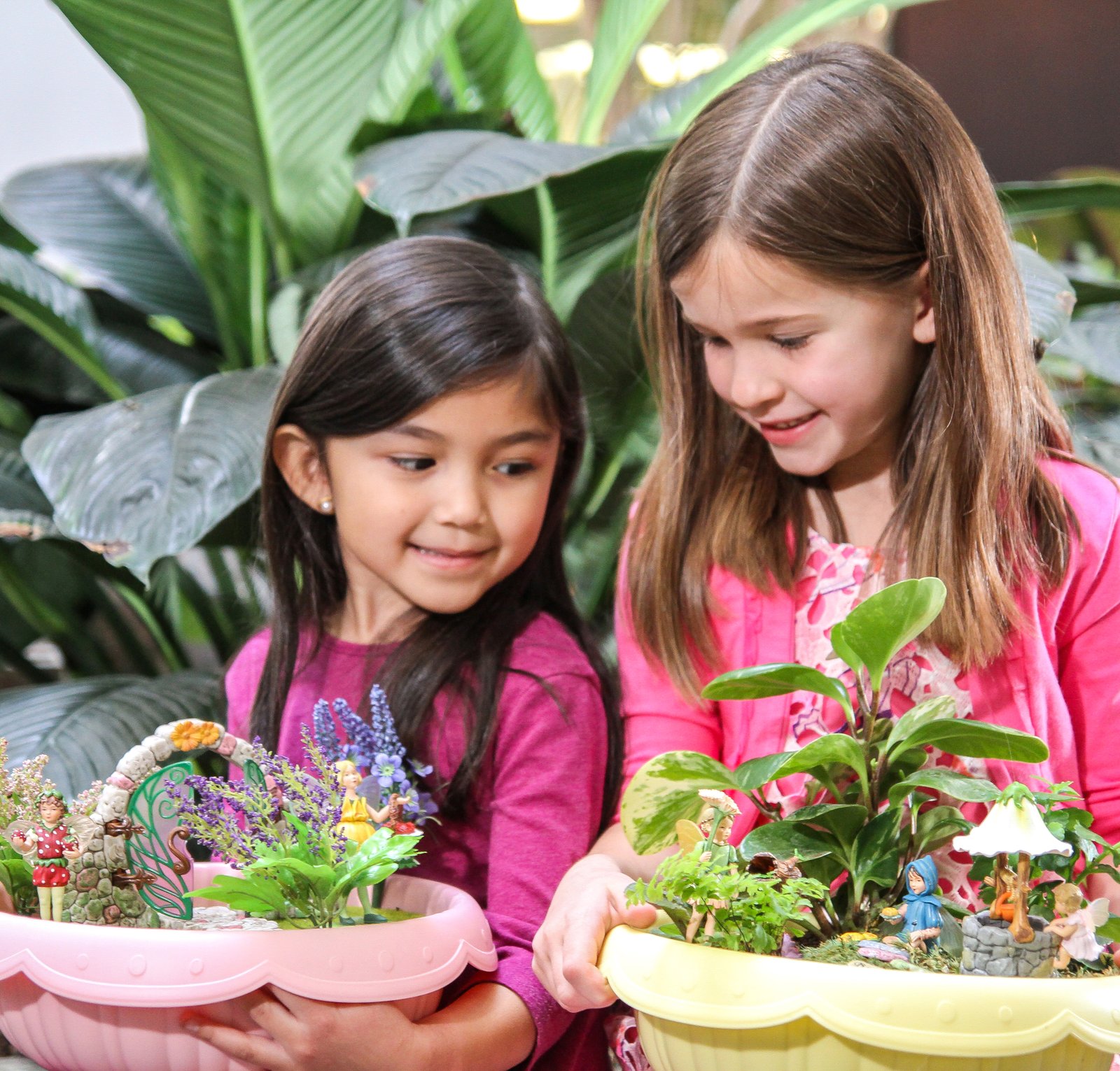 flower fairies garden kits - goliath games :goliath games