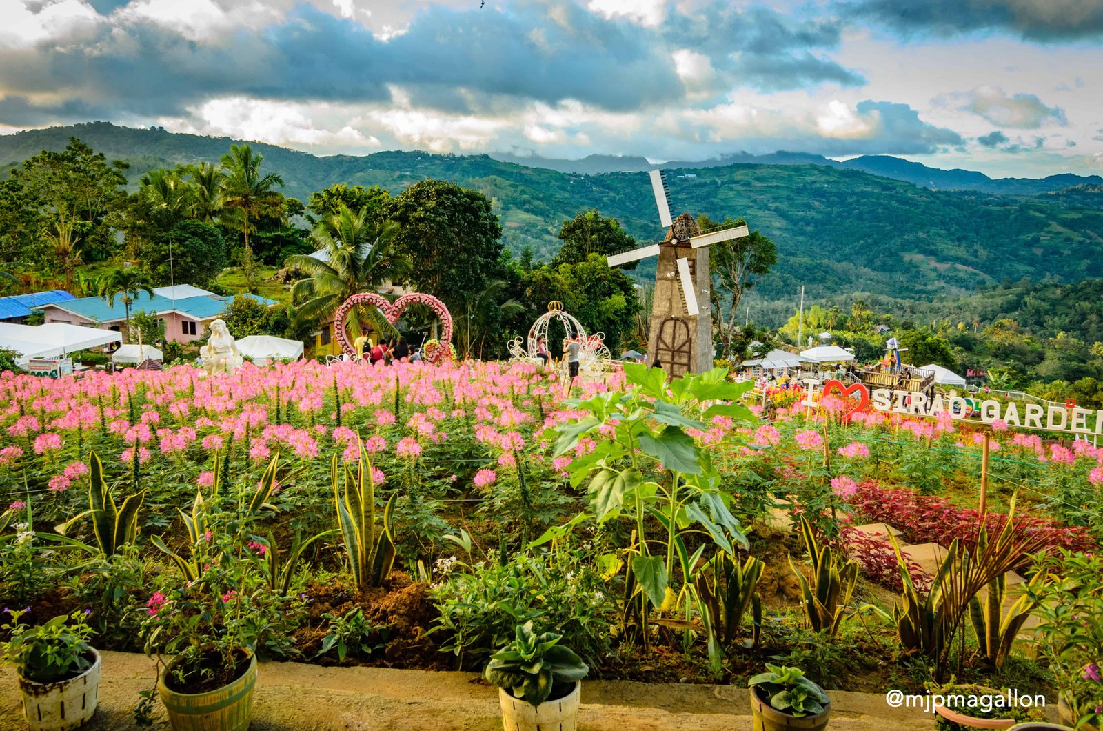 the new sirao flower gardens in cebu city | sugbo.ph - cebu