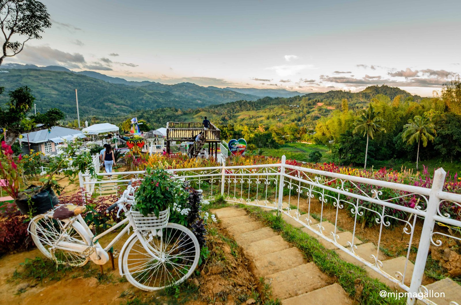 the new sirao flower gardens in cebu city | sugbo.ph - cebu
