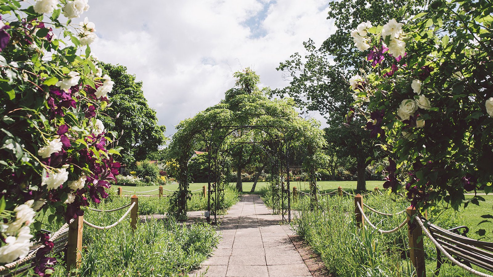 purple-flowers-garden-wedding-venue | gaynes park