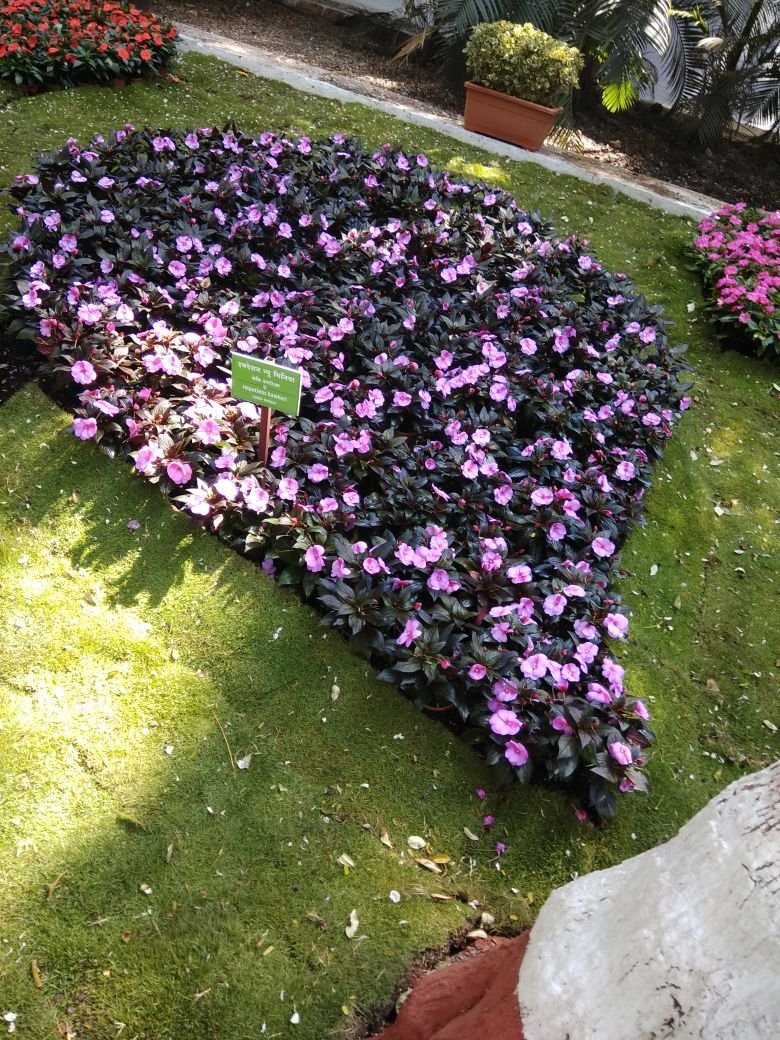 annual flower show 2019 - empress garden pune