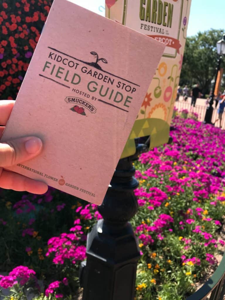 epcot flower and garden festival beginners guide - polka dots and