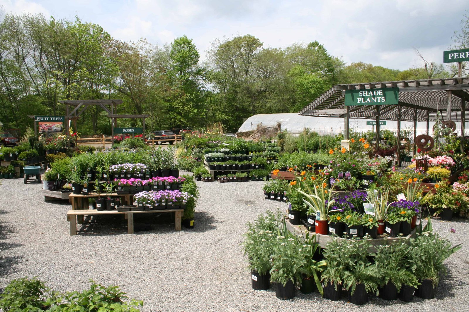 gilbertie's herbs and garden center - organic herb and vegetable plants