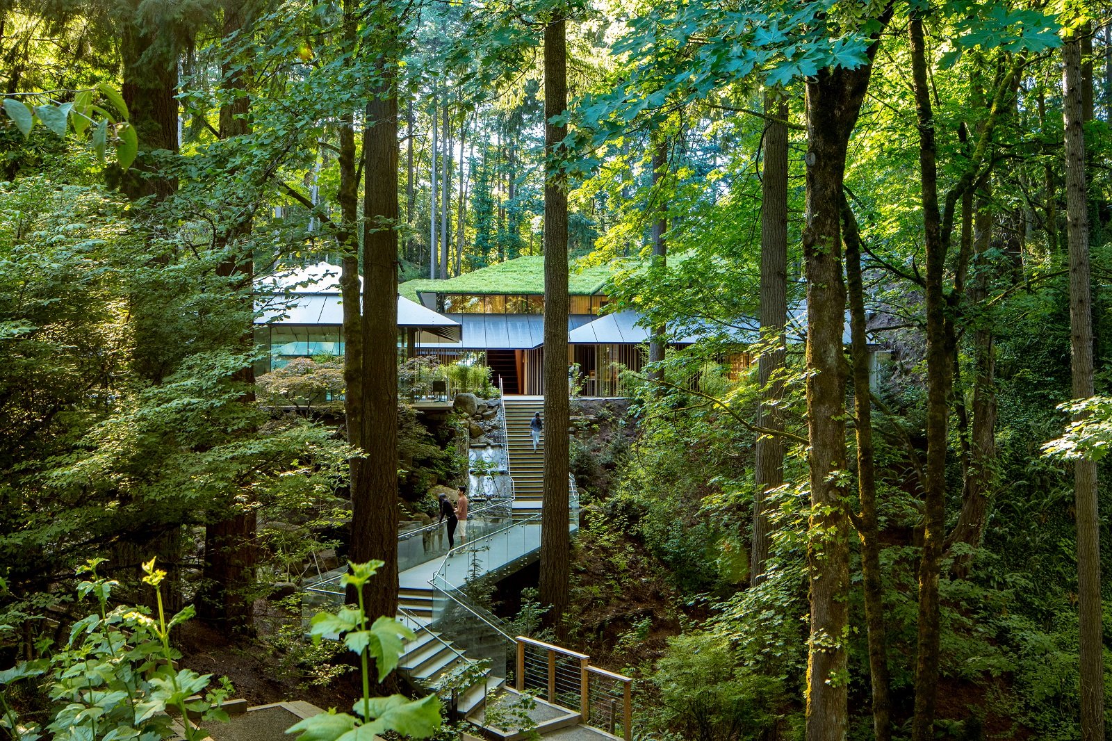 a day at the garden – portland japanese garden