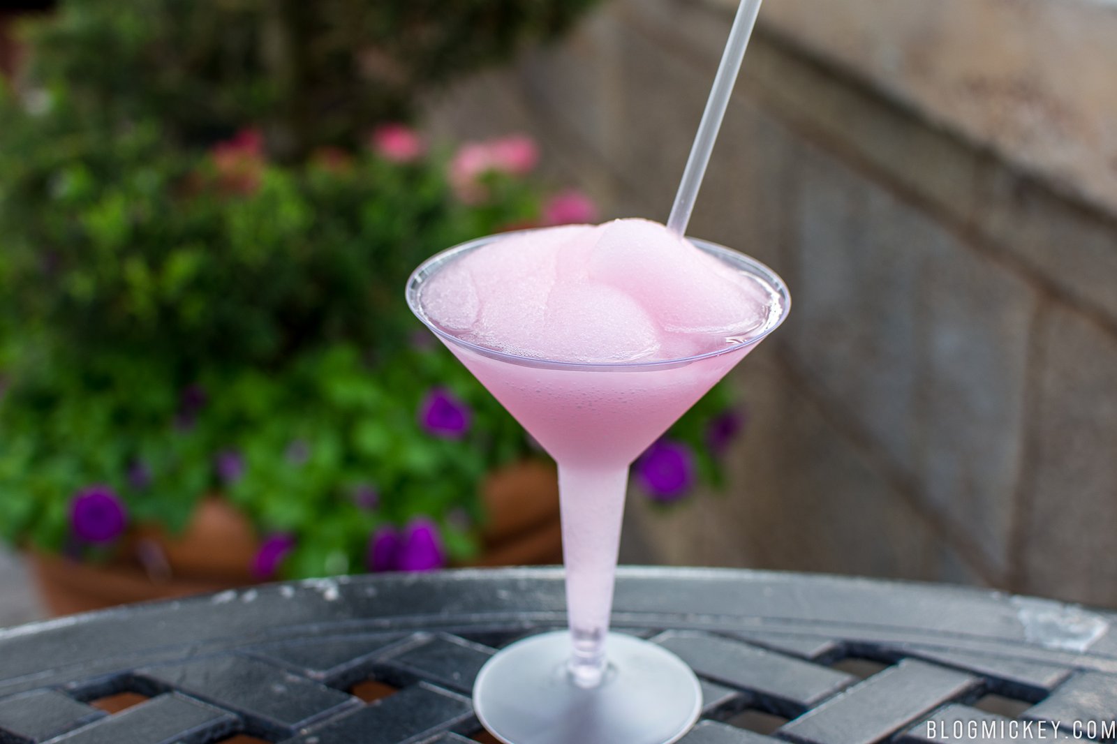 fleur-de-lys-review-epcot-flower-and-garden-2018-2 - blog mickey