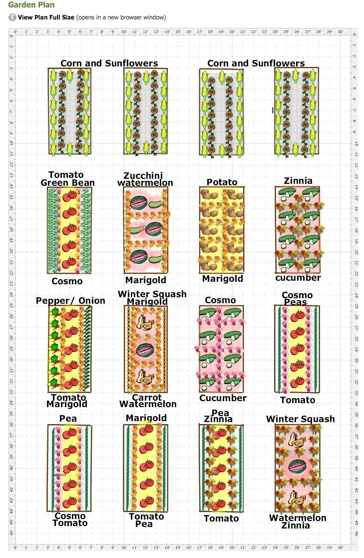 19 vegetable garden plans & layout ideas that will inspire you