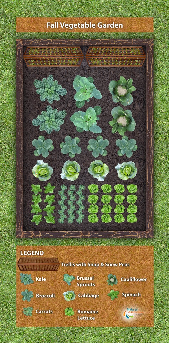 19 vegetable garden plans & layout ideas that will inspire you