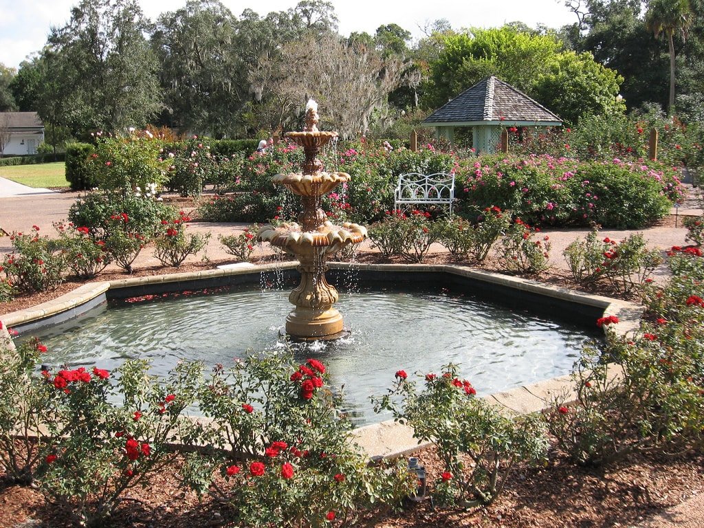 the most beautiful gardens in orlando everyone has to visit