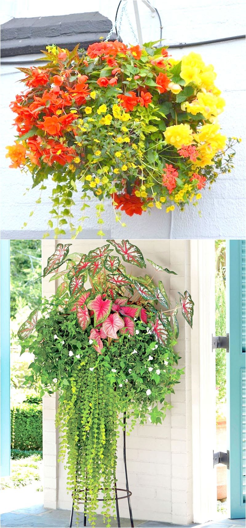 how to plant beautiful flower hanging baskets ( & 20+ best hanging