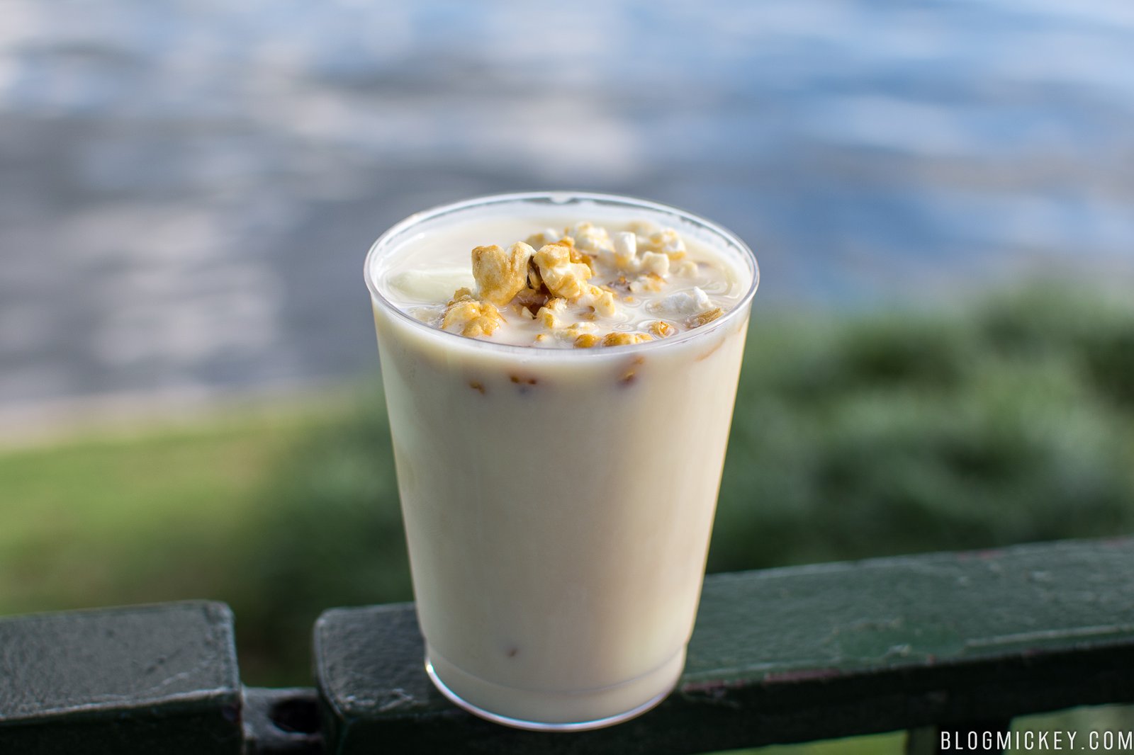 review: best food of the 2018 epcot flower and garden festival