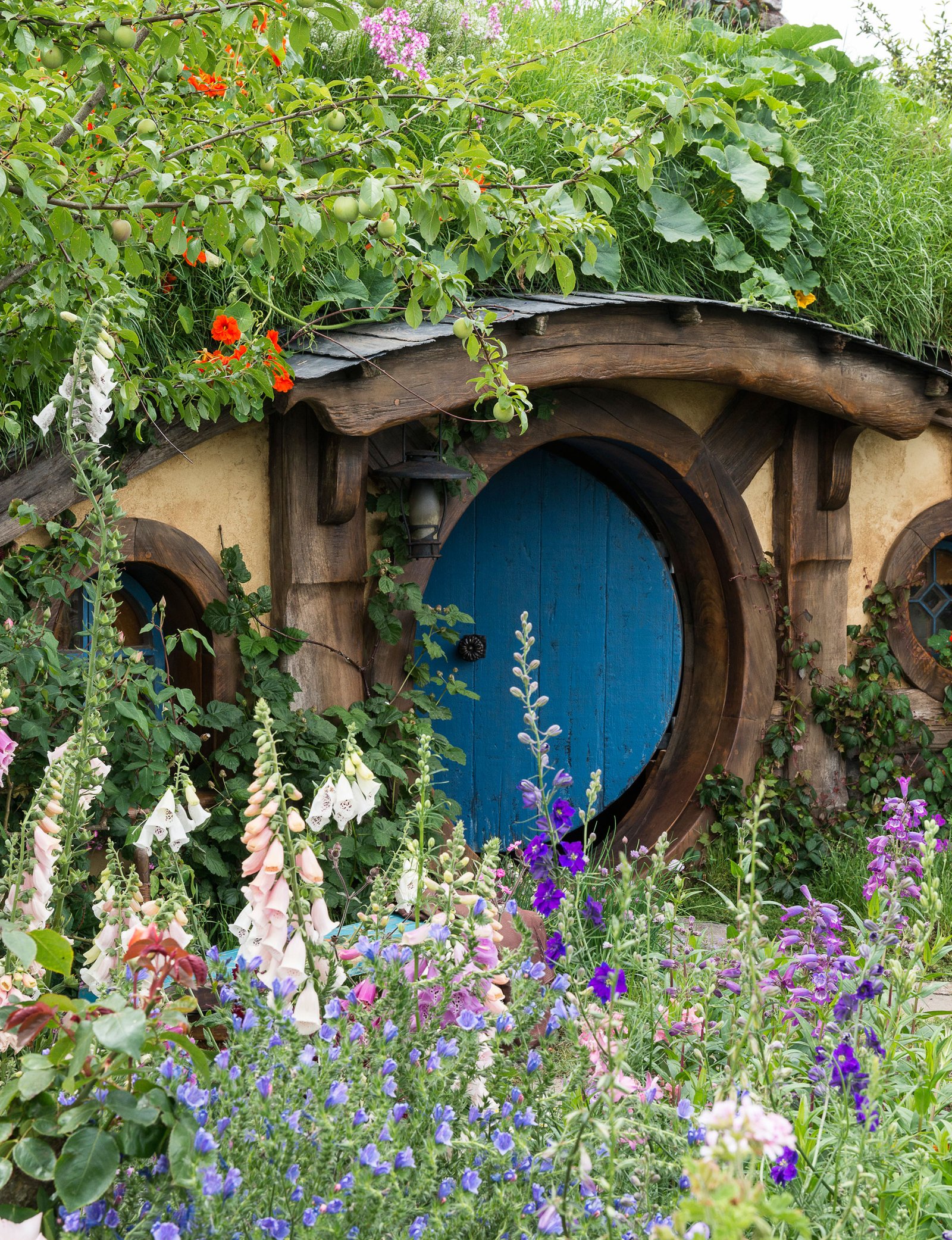 8 of the latest gardening trends from the nz flower & garden show