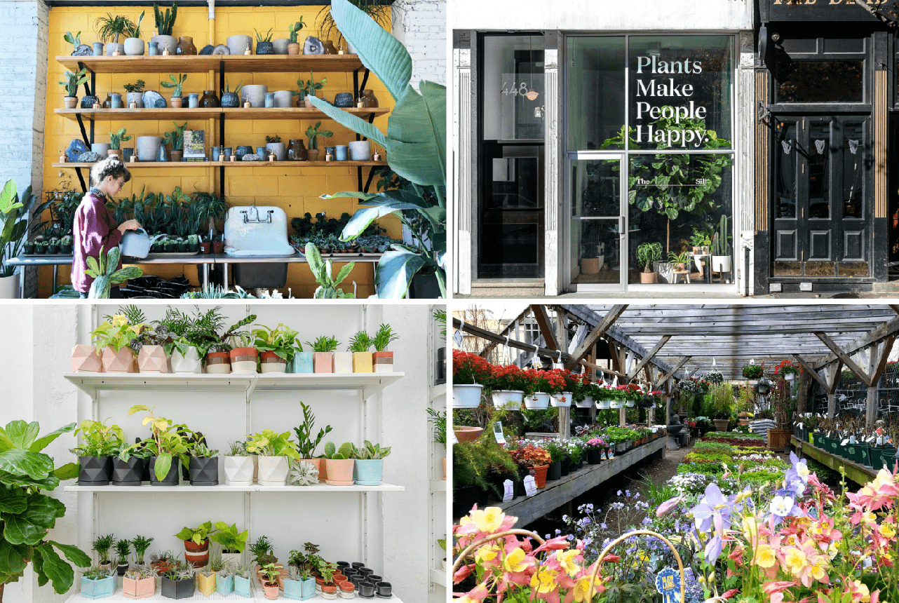 the 10 best plant shops in nyc | 6sqft