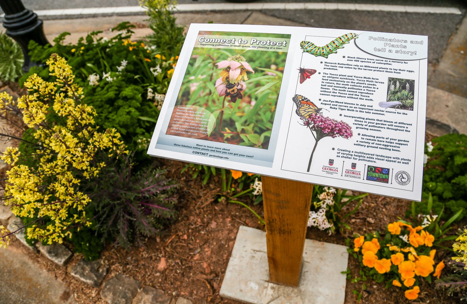 state botanical garden of georgia - conservation news