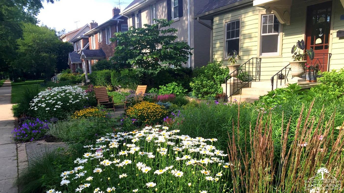 case study: cottage garden with curb appeal - nature's perspective