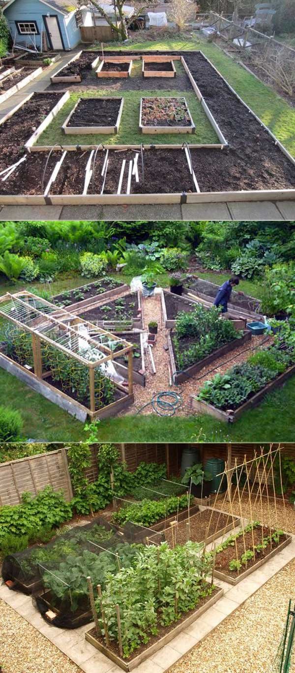 the secrets to growing a vegetable garden in small space – lazytries