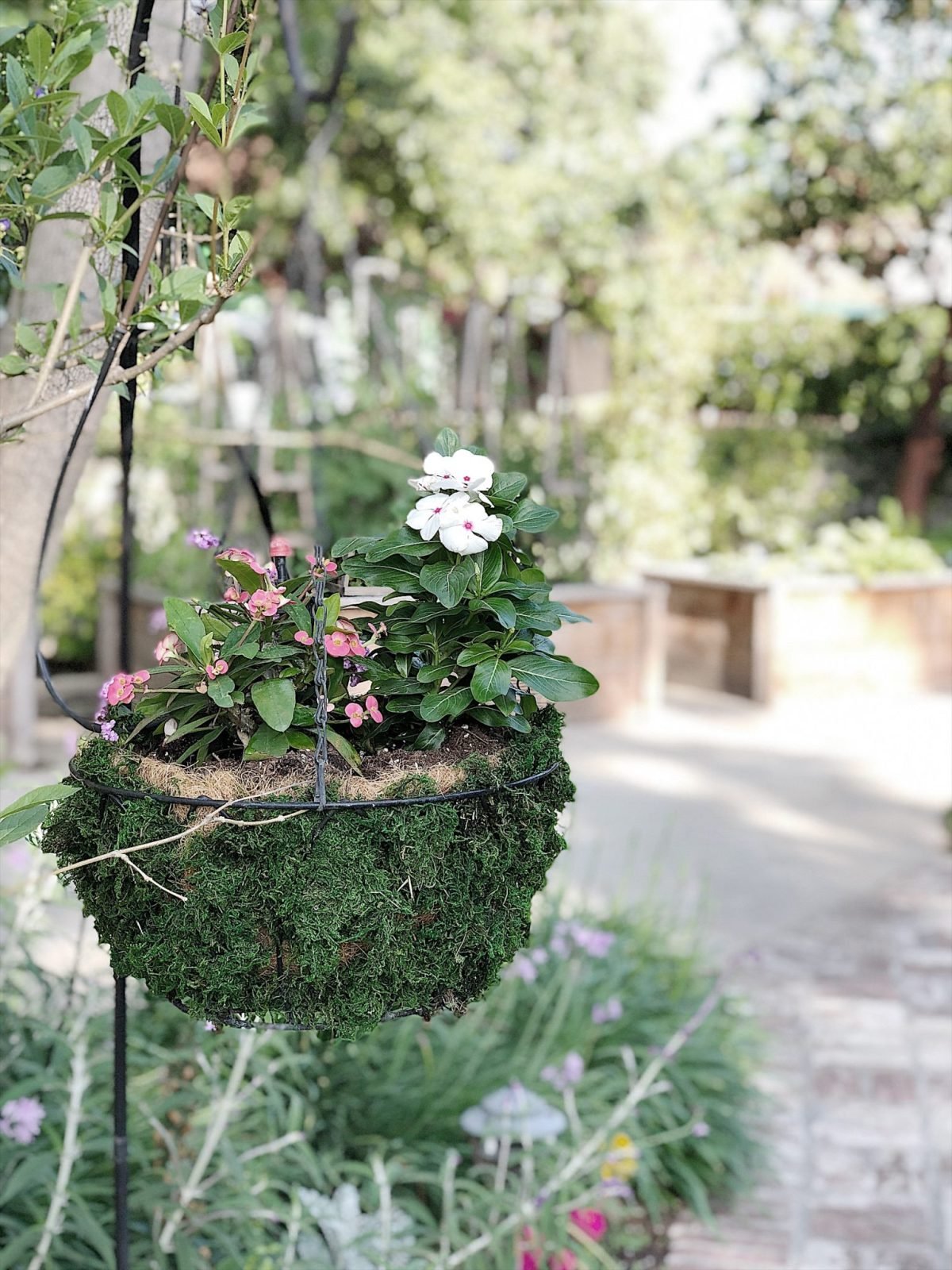 hanging flower baskets