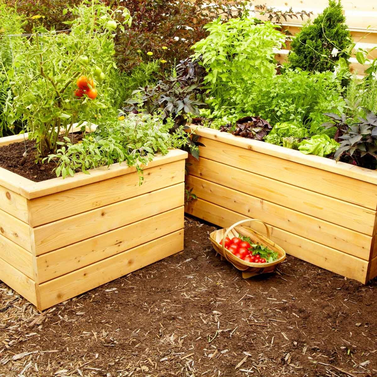 these simple planter boxes are easy to build | the family handyman