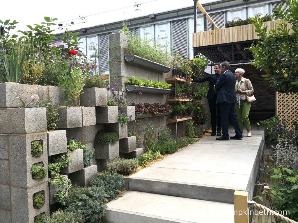 rhs chelsea flower show 2018 - pumpkin beth