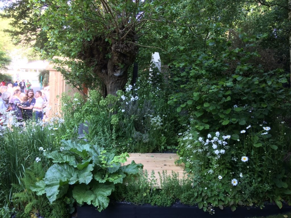 viking cruises wellness garden wins chelsea gold - the english garden
