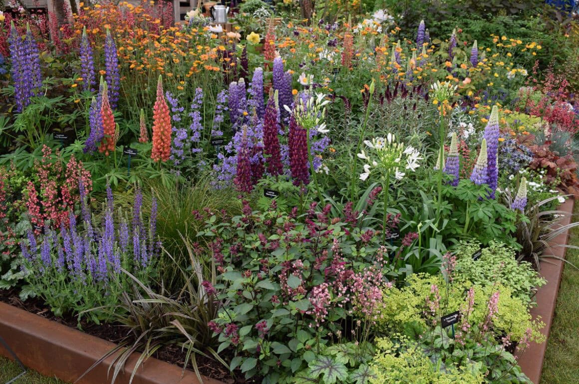hillier & stihl inspirational gold at chelsea flower show | stihl blog