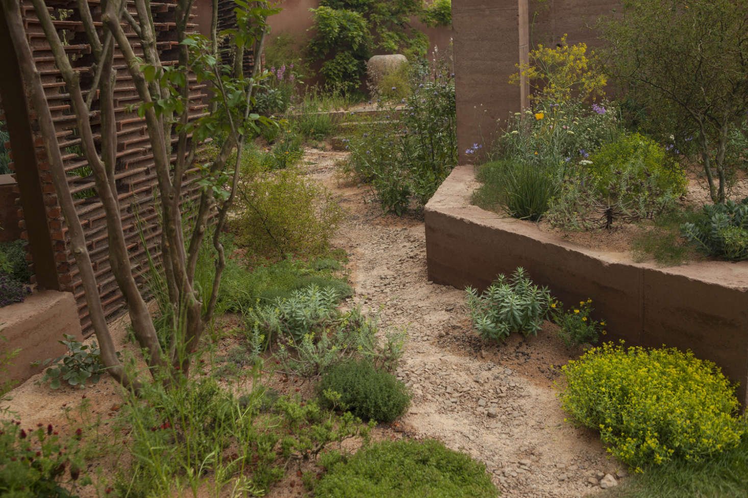 chelsea flower show 2018: a behind-the-scenes look at designer sarah