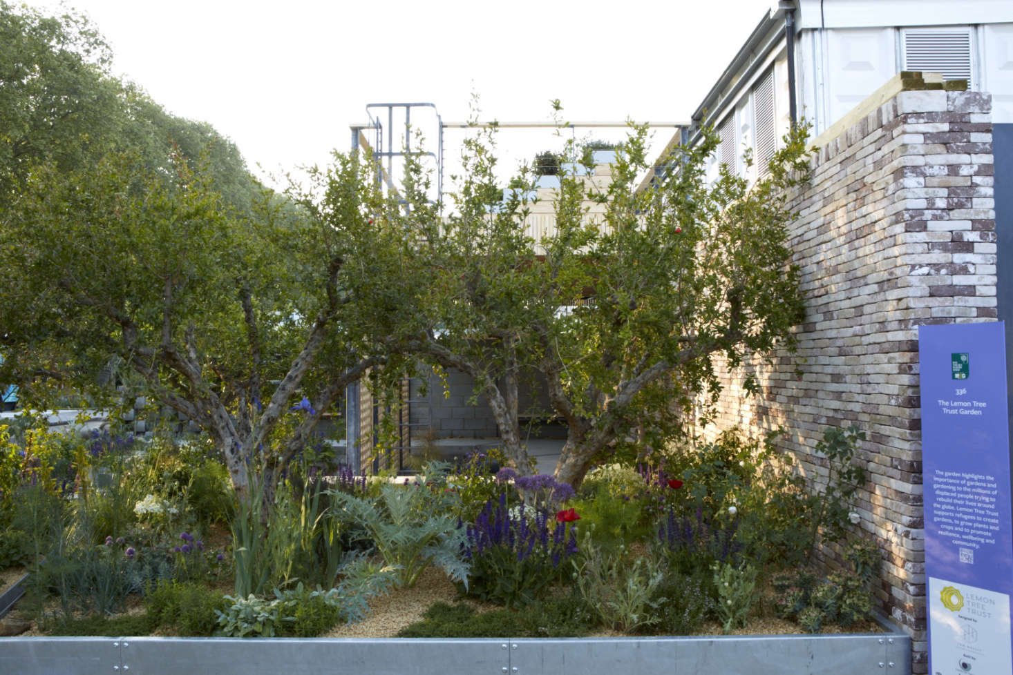 chelsea flower show 2018: heart and soul at the lemon tree trust
