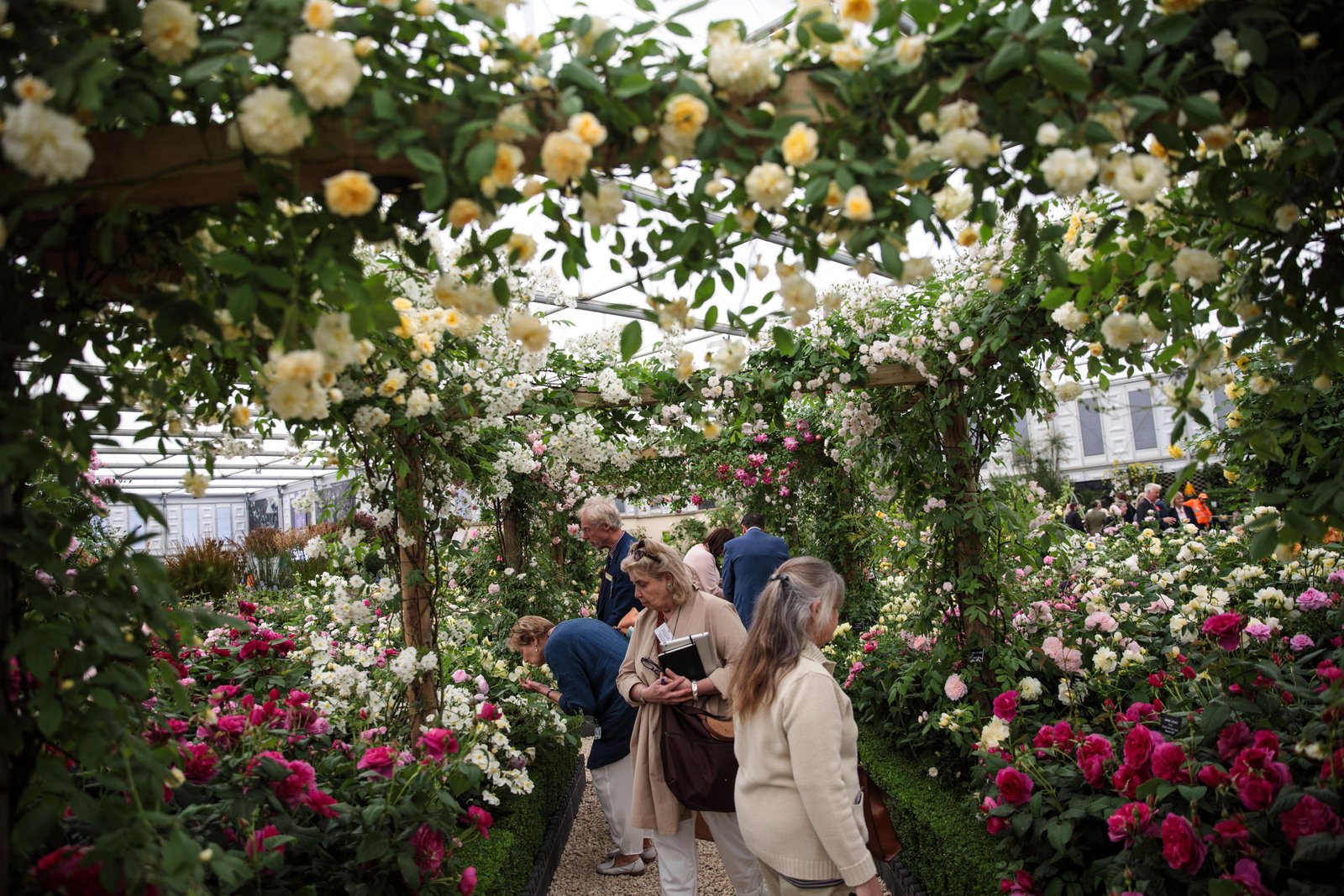 chelsea flower show 2019 tickets – how much do they cost, what does