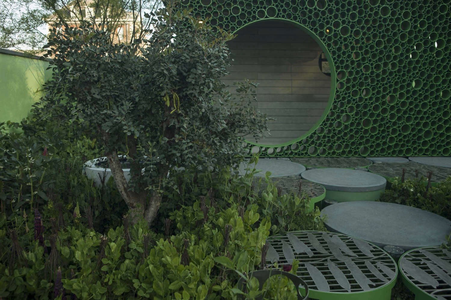 chelsea flower show 2018: peas, please - gardenista