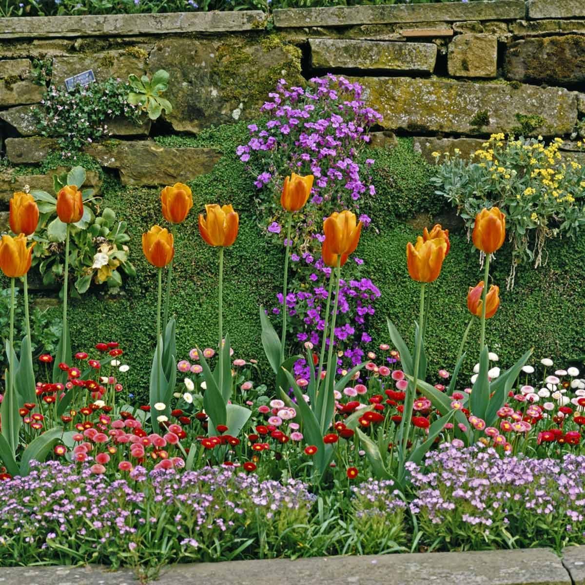 14 small yard landscaping ideas to impress | family handyman