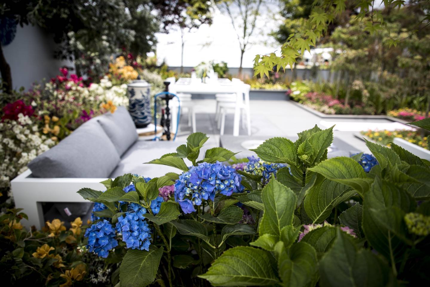 new zealand flower & garden show - the trusts arena