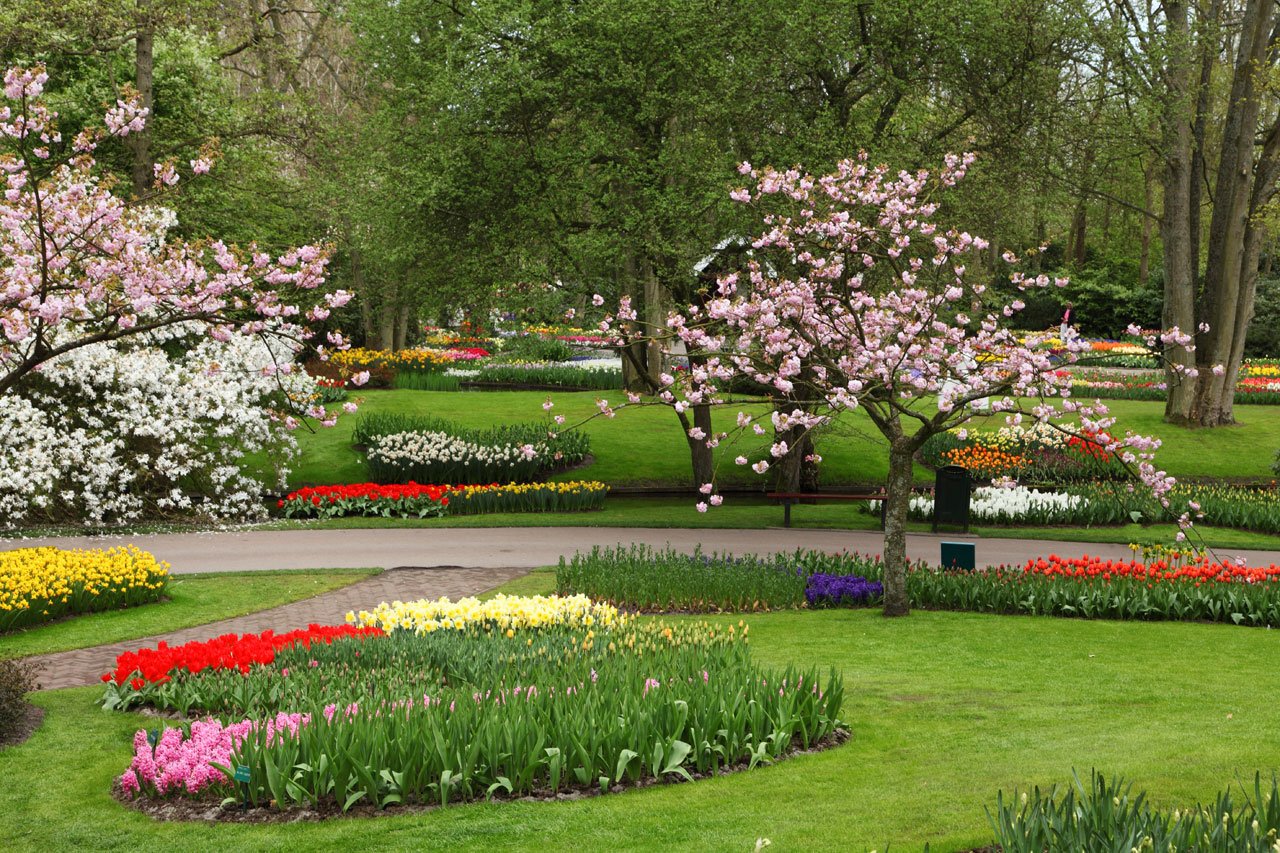 difference between garden and park | difference between